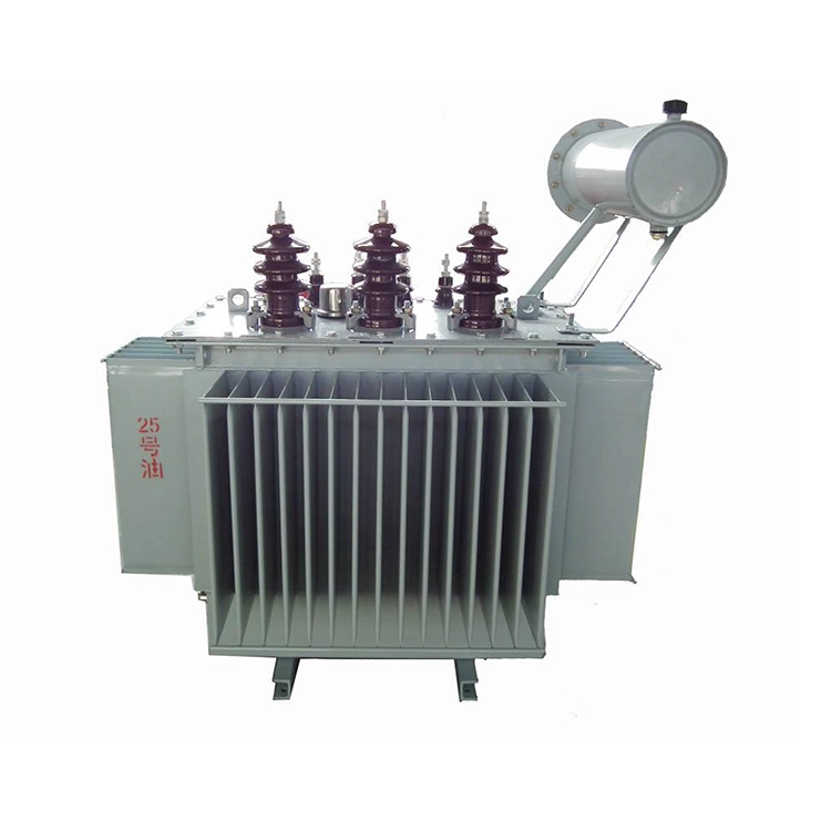 ترانسفورماتور ONAN 100 Kva 11 Kv روغن غوطه ور
